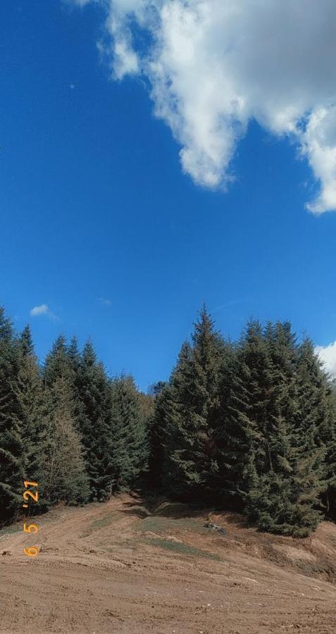 Садиба У Пані Марії Worochta Exterior foto